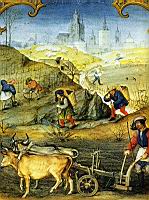 Travaux des champs, labour